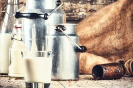 Laktoseintoleranz: frische Milch im Glas und in Milchkannen