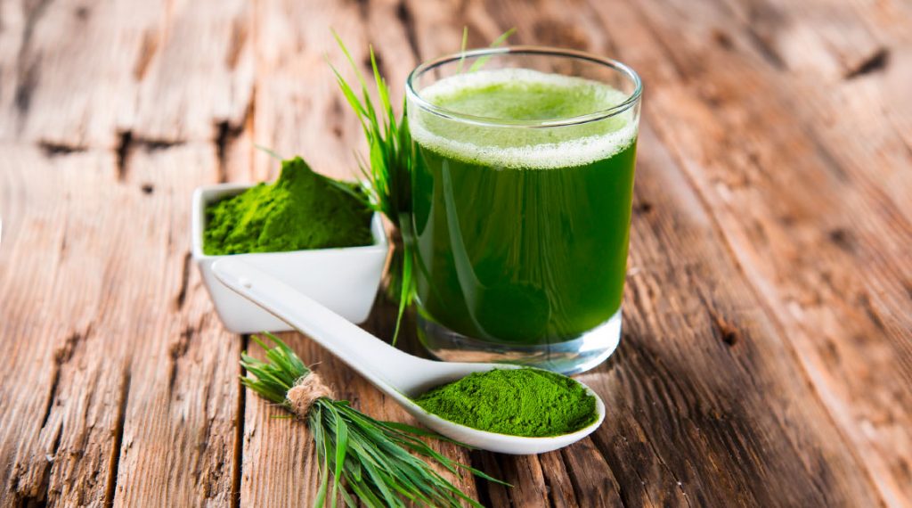 SpirulinaAlgen Das Superfood aus dem Meer