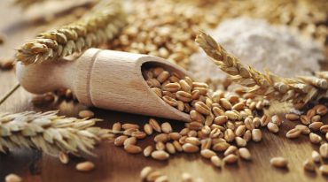 glutenfreie Ernährung: Weizenkörner, Getreide