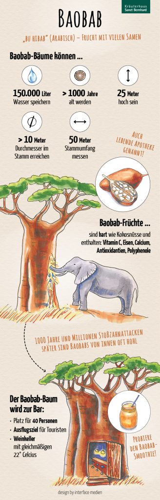 Infografik Baobab