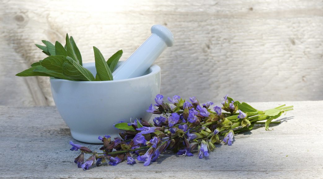 Salbeitee und seine Wirkung AllroundTalent Salbei