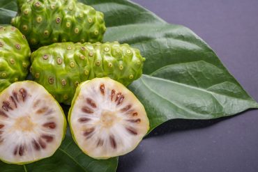 Noni-Früchte: Grundlage des Noni-Saft