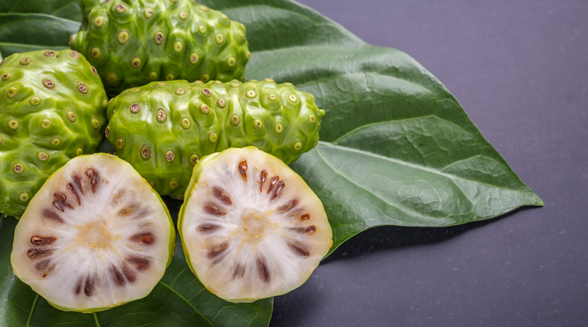 Noni-Früchte: Grundlage des Noni-Saft