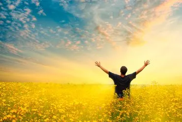 Sonniger Tag über Blumenwiese