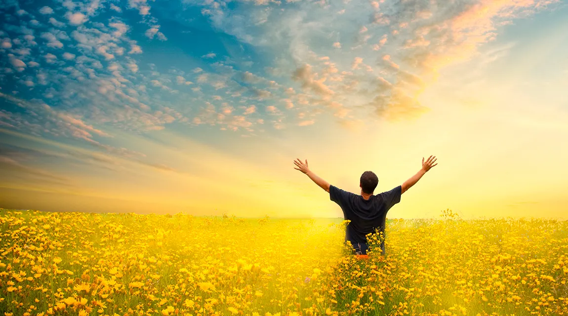 Sonniger Tag über Blumenwiese