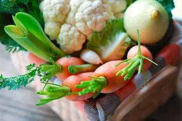 Entgiftung für den Körper