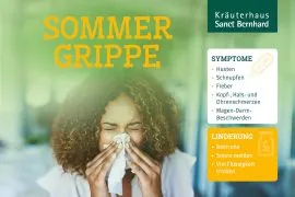 Ksb Blog Infografik Sommergrippe Titelbild