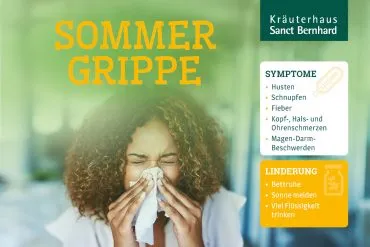 Ksb Blog Infografik Sommergrippe Titelbild