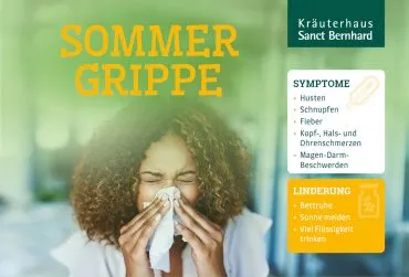 Ksb Blog Infografik Sommergrippe Titelbild