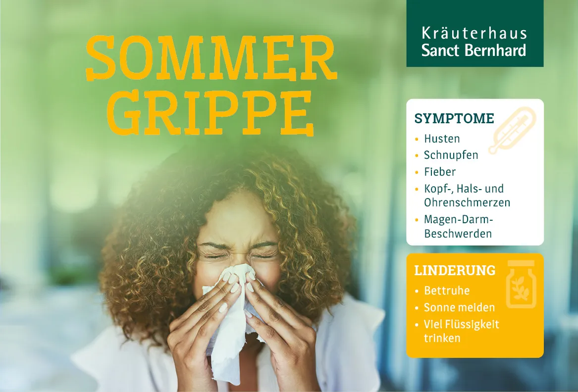 Ksb Blog Infografik Sommergrippe Titelbild