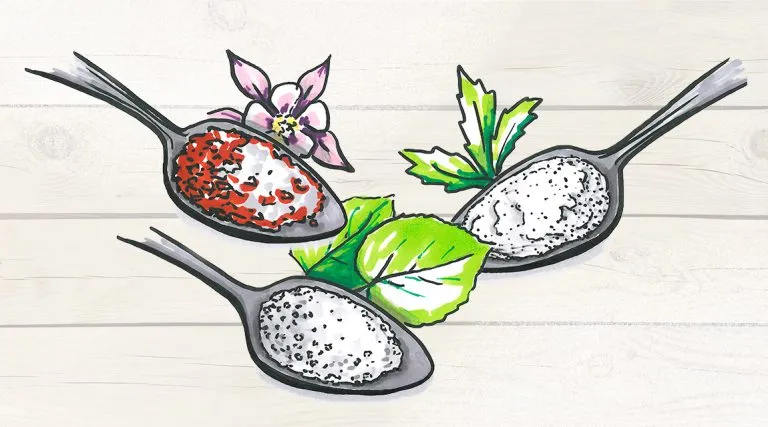 Esslöffel mit Zucker-Alternativen