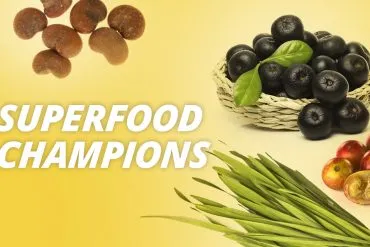 Die Top 10 der beliebtesten Superfoods