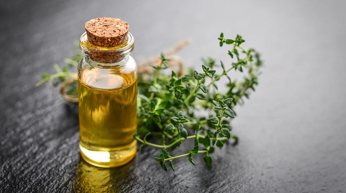 Kräuterhaus Sanct Berhard - Sanddorn, MCT, Hanf & Co.