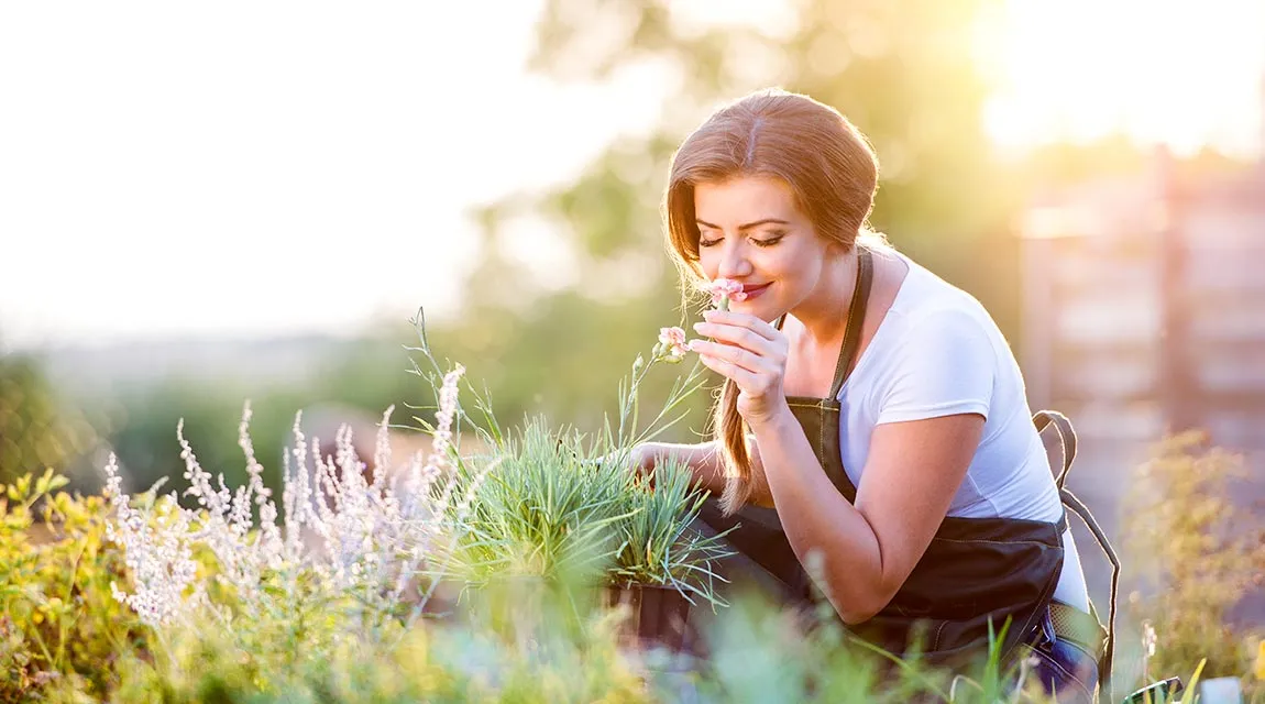Kräuterhaus Sanct Bernhard - Düfte