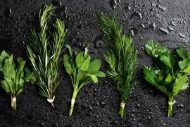 Kräuterhaus Sanct Bernhard - Kräuter