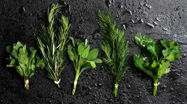 Kräuterhaus Sanct Bernhard - Kräuter