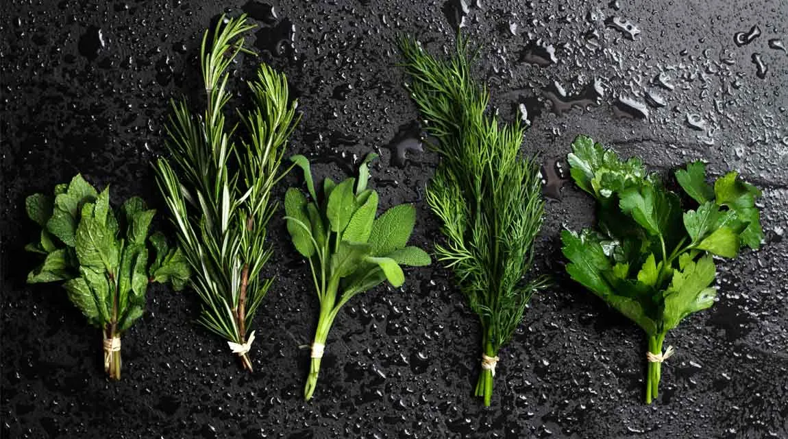 Kräuterhaus Sanct Bernhard - Kräuter