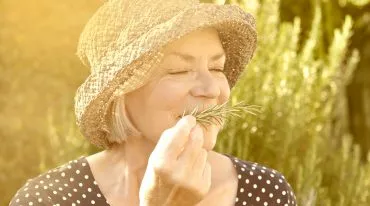 Kräuterhaus Sanct Bernhard - Kräuter zur Körperpflege