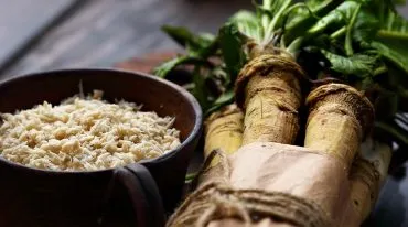 Kräuterhaus Sanct Bernhard - Meerrettich - Heilpflanze des Jahres 2021