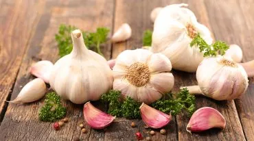 Kräuterhaus Sanct Bernhard - Knoblauch