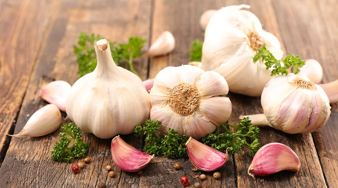 Kräuterhaus Sanct Bernhard - Knoblauch