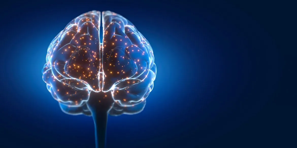 Ksb Blogbeitrag Gedaechtnis