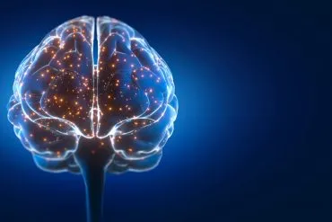 Ksb Blogbeitrag Gedaechtnis