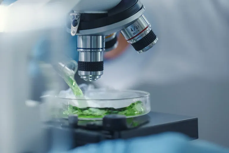 Kräuterhaus Sanct Bernhard - Pycnogenol