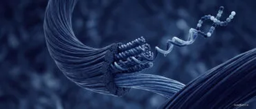 Header Kollagen