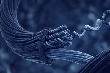 Header Kollagen