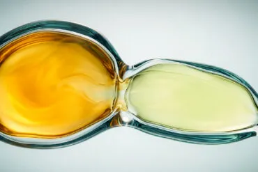 Unterschiede Bei Magnesium
