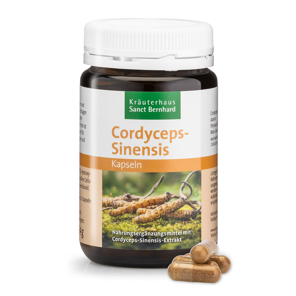 Cordyceps-Sinensis-Kapseln 90 Kapseln