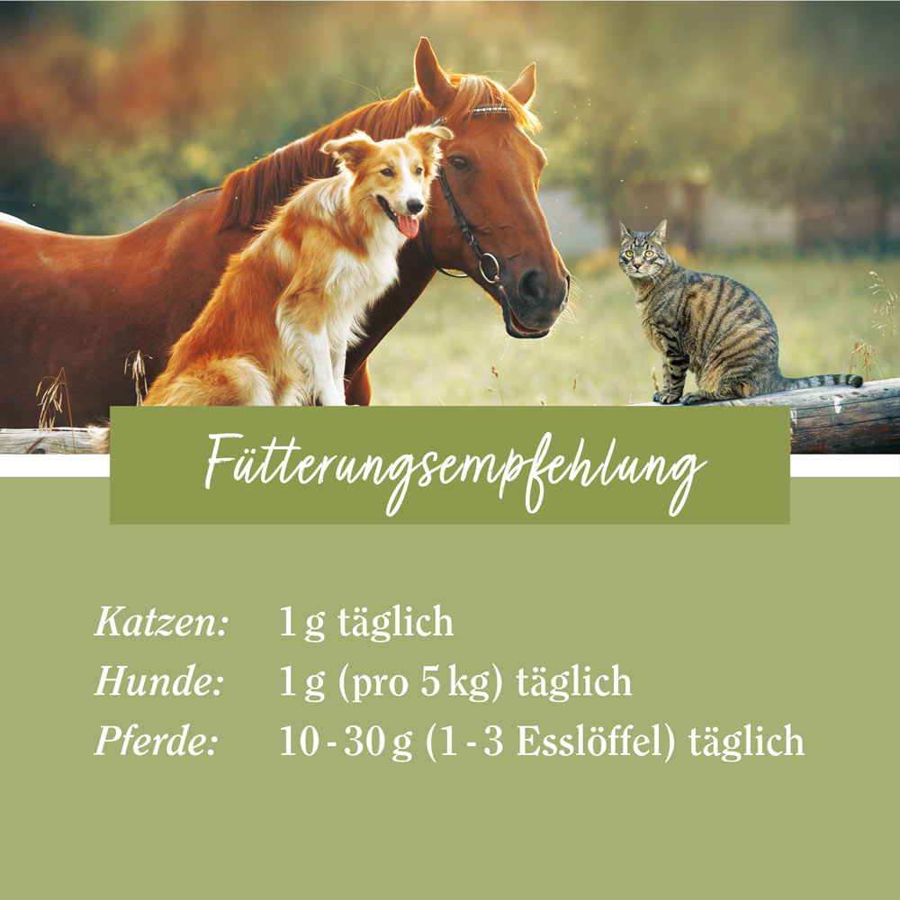 Erfahrungen zu tierlieb Natives Kokosöl für Pferde, Hunde und Katzen lesen