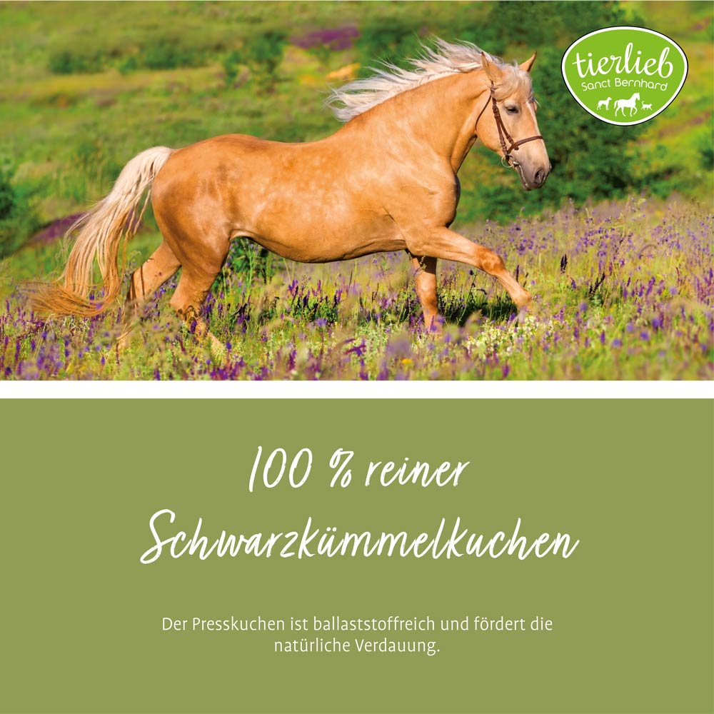 Produktbild von ReaVET Mönchspfeffer Für Pferde – 1kg Ganze Samen, Naturrein, Für Hormonhaushalt & Zyklus