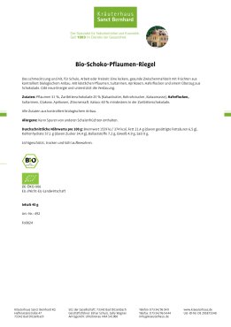 Bio-Schoko-Pflaumen-Riegel 40 g