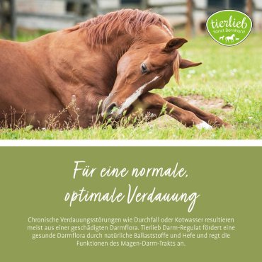 tierlieb Darm-Regulat für Pferde 1,8 kg Pellets 1.8 kg