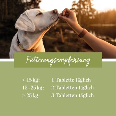 tierlieb  Immunkomplex-Hunde-Tabletten 180 Tabletten