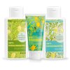 Anti-Morgenmuffel-Set Zitrone 600 ml