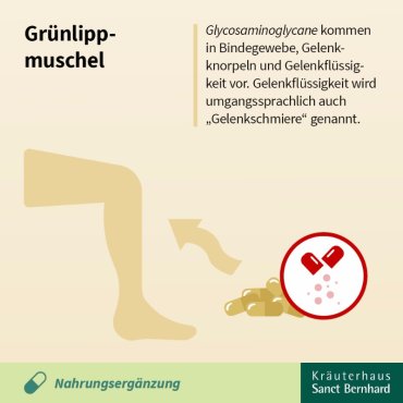 Grünlippmuschel-Kombipackung 2 Stück