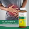 Lactitol Abführpulver 300 g