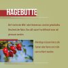 Bio-Hagebutten-Pulver 500 g