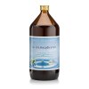 Bio-Haskapbeeren-Vitalsaft