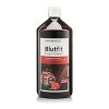 Blutfit Eisen-Elixier 1000 ml