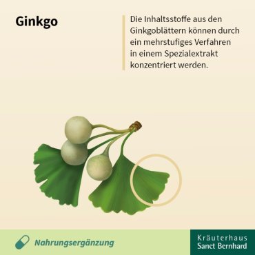 Ginkgo-Kapseln 75 mg 240 Kapseln