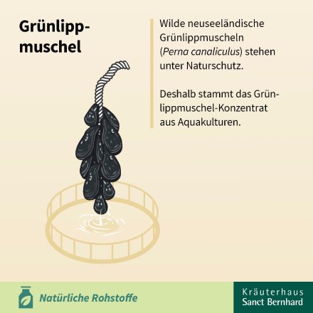 Grünlippmuschel-Kapseln 150 Kapseln