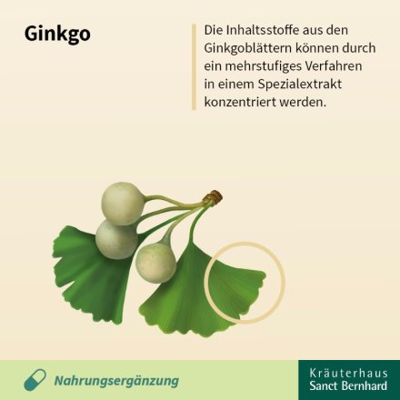 Ginkgo-Kapseln 100 mg 30 Kapseln
