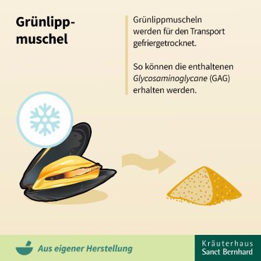 Muschelenergie-Kapseln 120 Kapseln