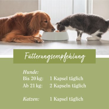 tierlieb Vitamin-B-Komplex für Hunde und Katzen 120 Kapseln