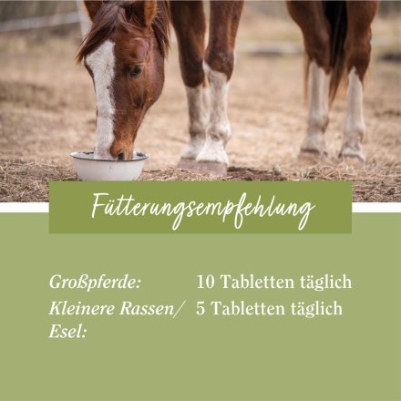 tierlieb Selen-Tabletten für Pferde 500 Tabletten