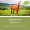 tierlieb Zink-Tabletten für Pferde 500 Tabletten